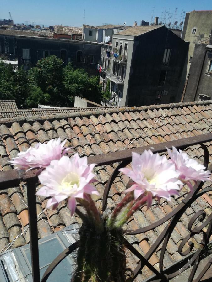 Biscari Hotel Catania